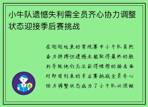 小牛队遗憾失利需全员齐心协力调整状态迎接季后赛挑战